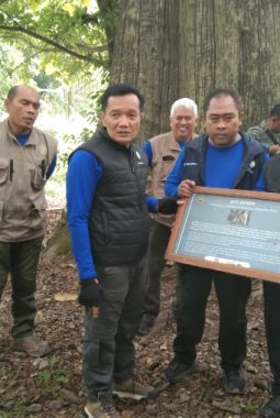 berita-rekomendasi-foto