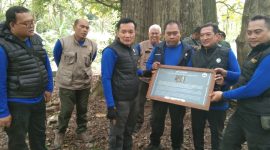 Foto: Nampak Kepala Divisi Regional (Kadivre) Jawa Tengah, Asep Dedi Mulyadi, bersama KKPH Randublatung, Hery Merkussiyanto Putro.