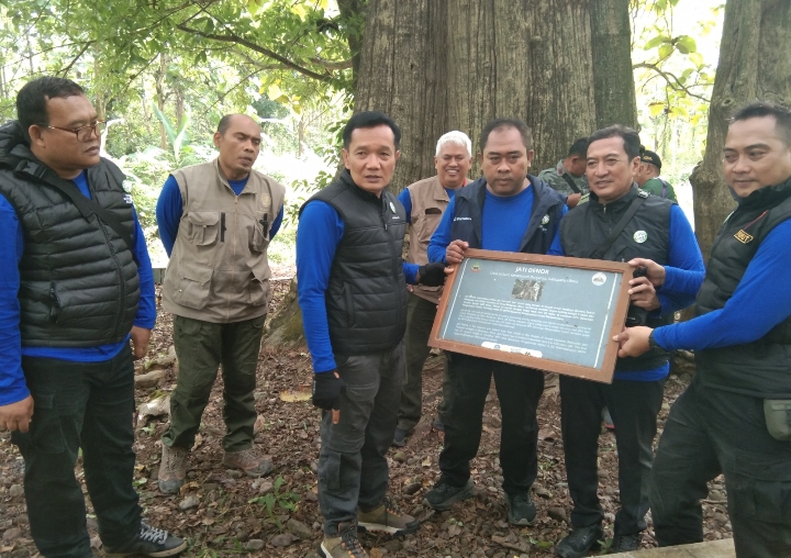 Foto: Nampak Kepala Divisi Regional (Kadivre) Jawa Tengah, Asep Dedi Mulyadi, bersama KKPH Randublatung, Hery Merkussiyanto Putro.