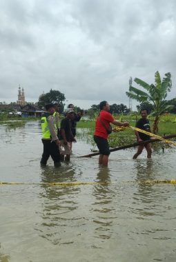 berita-rekomendasi-foto