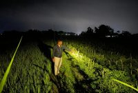 Lokasi TKP pencurian cabai.