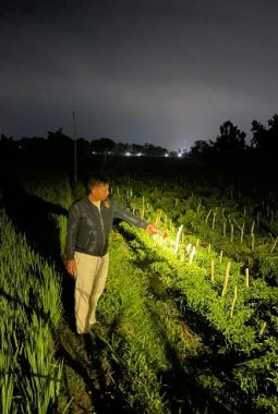 berita-rekomendasi-foto