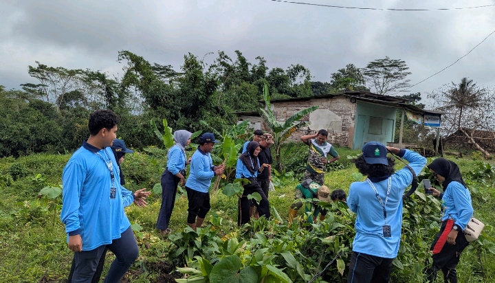 Mahasiswa KKN MIT 21 UIN Walisongo Posko 13 bersama warga melakukan penanaman bibit di depan halaman koperasi merah putih Desa Sidomulyo, Kecamatan Limpung, Kabupaten Batang, (28/01/26) (foto: Dok KKN).