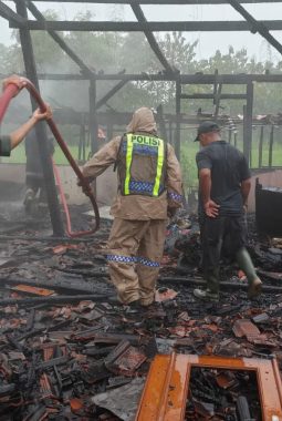 berita-rekomendasi-foto