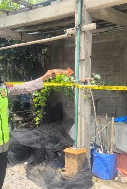 berita-rekomendasi-foto