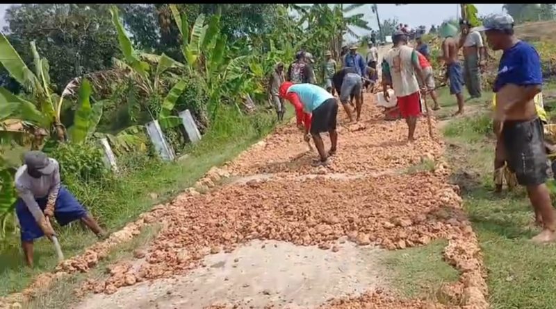 Ratusan warga Sumberejo, kec. Randublatung, Blora, saat memperbaiki jalan kabupaten yang rusak. Rabu (15/4/2026).