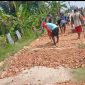 Ratusan warga Sumberejo, kec. Randublatung, Blora, saat memperbaiki jalan kabupaten yang rusak. Rabu (15/4/2026).