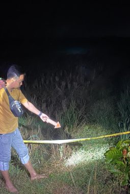 berita-rekomendasi-foto