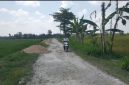 Tampak grosok untuk ngurug jalan desa Randulawang Kec. Jati, Blora.