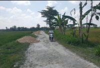 Tampak grosok untuk ngurug jalan desa Randulawang Kec. Jati, Blora.