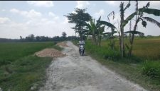 Tampak grosok untuk ngurug jalan desa Randulawang Kec. Jati, Blora.