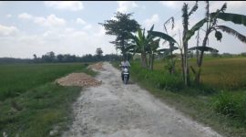 Tampak grosok untuk ngurug jalan desa Randulawang Kec. Jati, Blora.