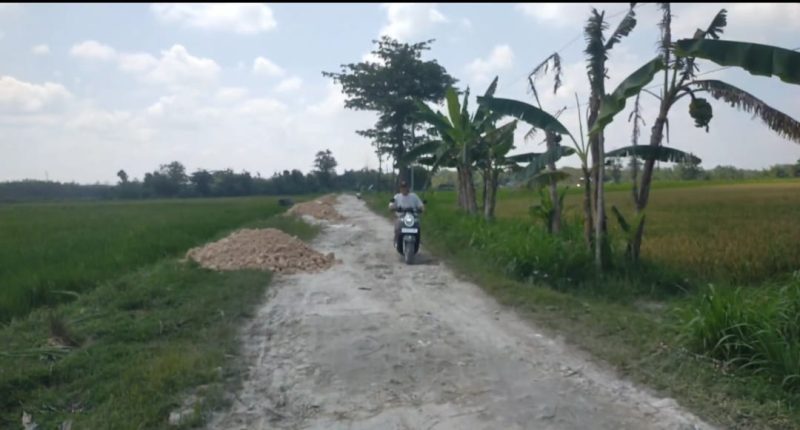 Tampak grosok untuk ngurug jalan desa Randulawang Kec. Jati, Blora.