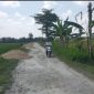 Tampak grosok untuk ngurug jalan desa Randulawang Kec. Jati, Blora.