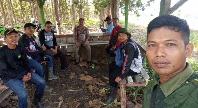 foto slider headline