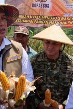 berita-rekomendasi-foto