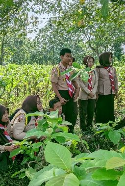 berita-rekomendasi-foto