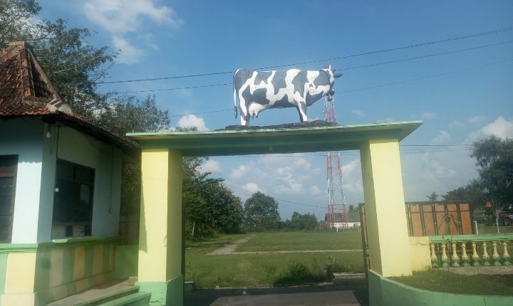 foto slider headline