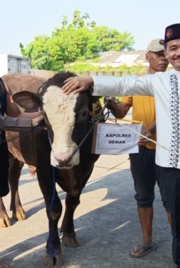 berita-rekomendasi-foto