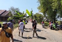 Foto: Warga Blora, saat melakukan aksi tanam pohon pisang di ruas jalan provinsi Randublatung-Cepu. Minggu (31/5/2026).
