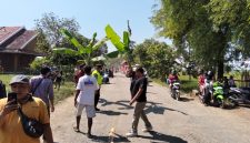 Foto: Warga Blora, saat melakukan aksi tanam pohon pisang di ruas jalan provinsi Randublatung-Cepu. Minggu (31/5/2026).