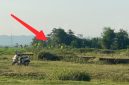 Lokasi pembangunan Gedung Olahraga (GOR). Tampak pondasi bangunan yang terlihat dan ditumbuhi rumput liar. 
