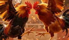 Gambar: Ilustrasi