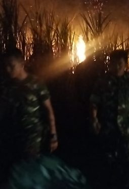 berita-rekomendasi-foto
