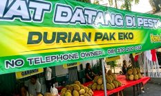 berita-pilihan-foto