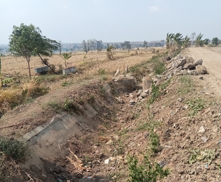 Foto: Saluran irigasi, nampak kering.