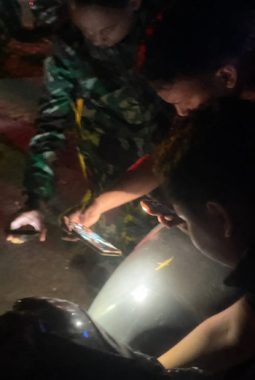 berita-rekomendasi-foto